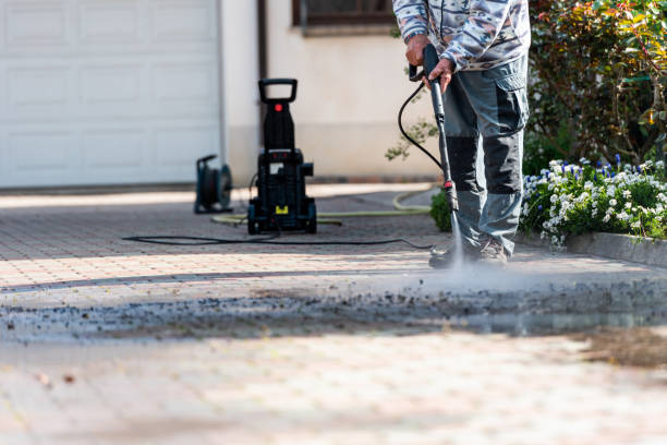 Best Local Pressure Washing Services  in Larch Y, WA