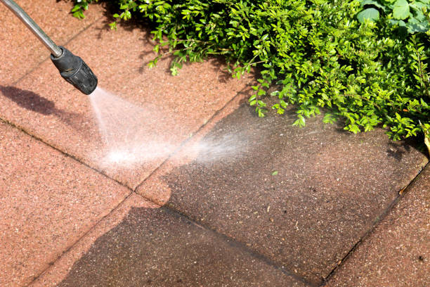 Best Roof Power Washing Services  in Larch Y, WA