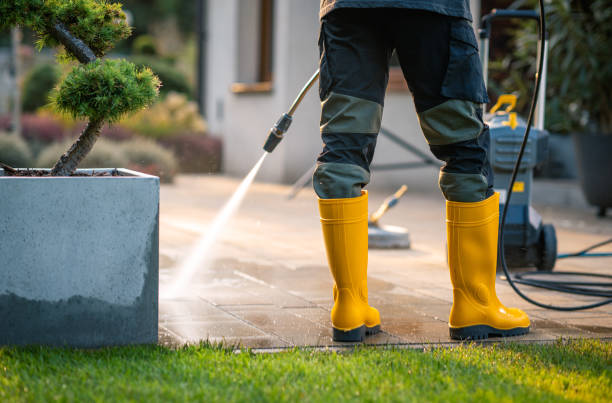 Best Pressure Washing Services Near Me  in Larch Y, WA
